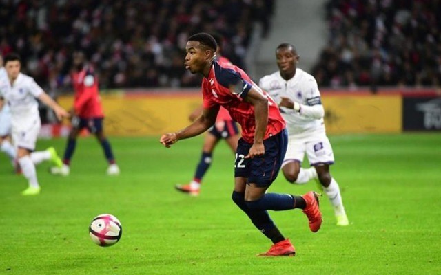 为他们接下 为他们接下