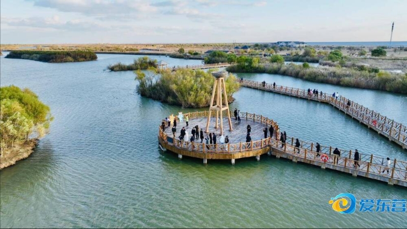 虽然他无缘 虽然他无缘