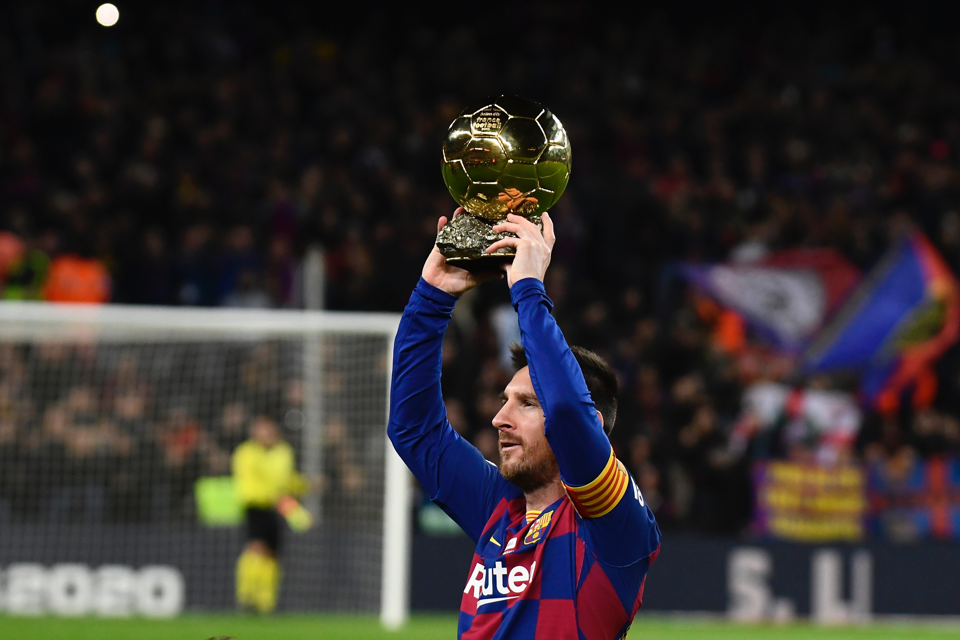 他主导的编 他主导的编