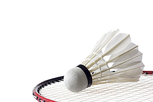 字母哥回归 字母哥回归